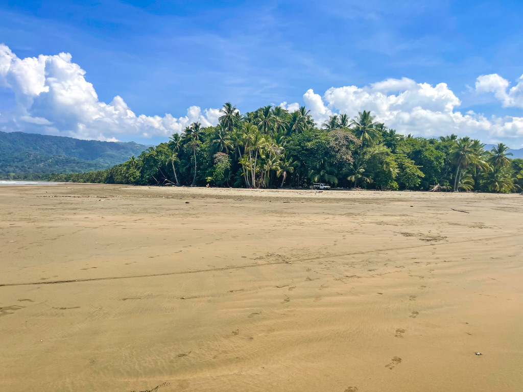 Wide sandy beach at Marino Ballena National Park backed by dense green palms and jungle mountains under a bright blue sky