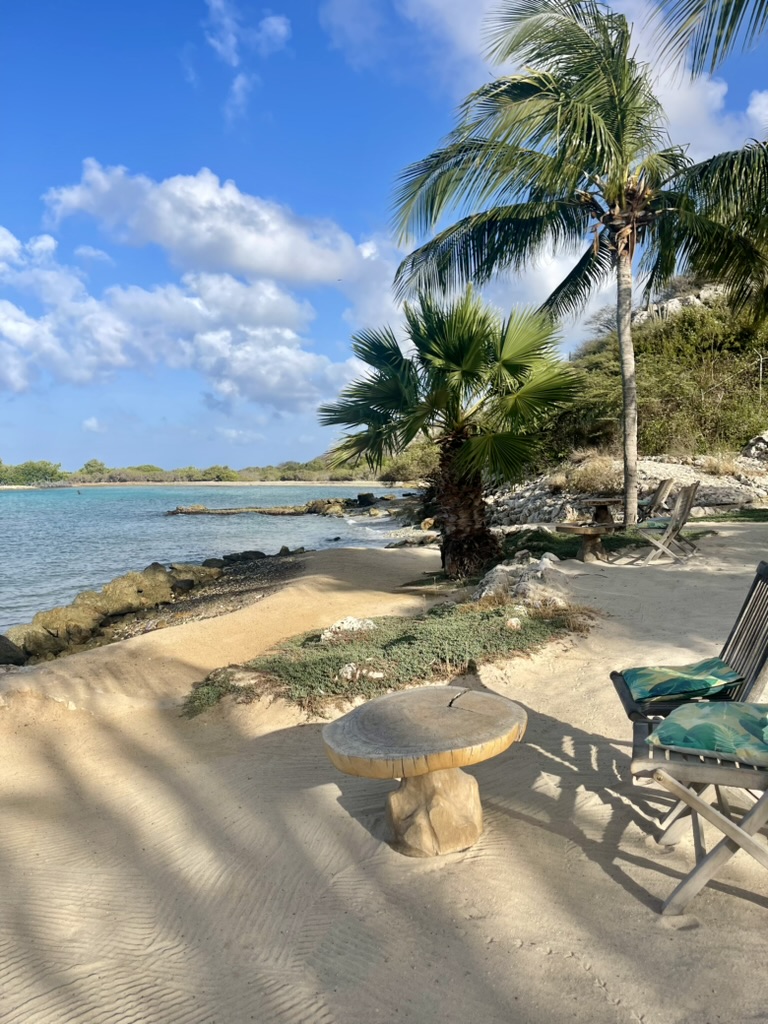 Quiet sandy cove with palm trees, a driftwood table and beach chairs by calm turquoise water
