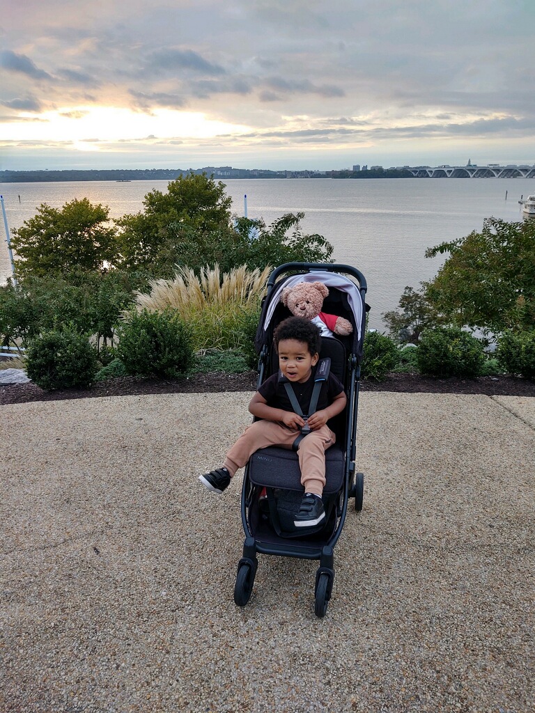 Toddler in a stroller with his teddy bear at sunset overlooking the Potomac River