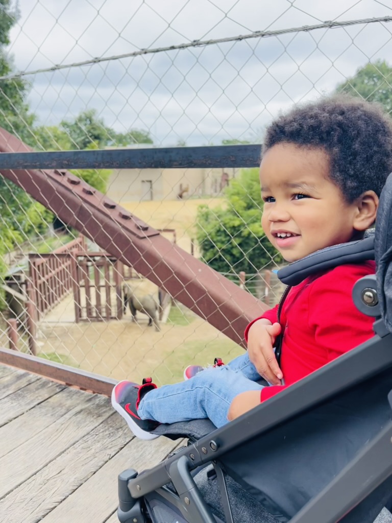 Toddler in a stroller smiling at the elephant habitat at the National Zoo