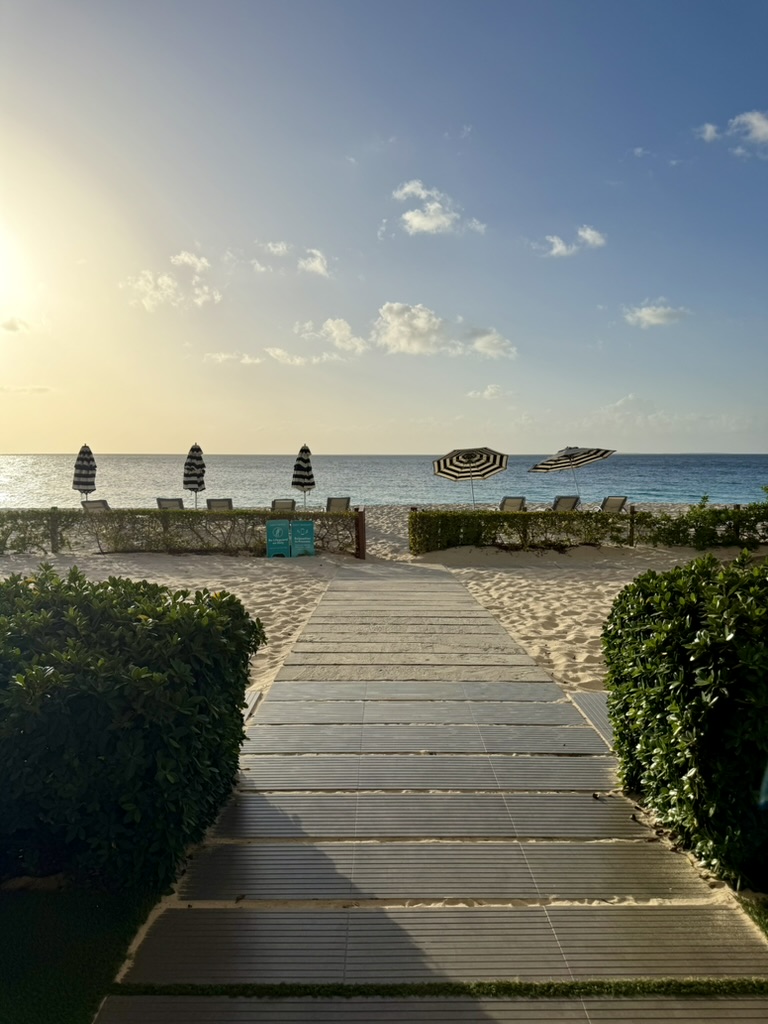 Boardwalk between hedges leading to striped umbrellas and loungers at golden hour