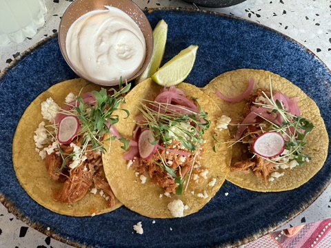 Three carnitas tacos with pickled onion, radish and crema on a blue plate at Costa