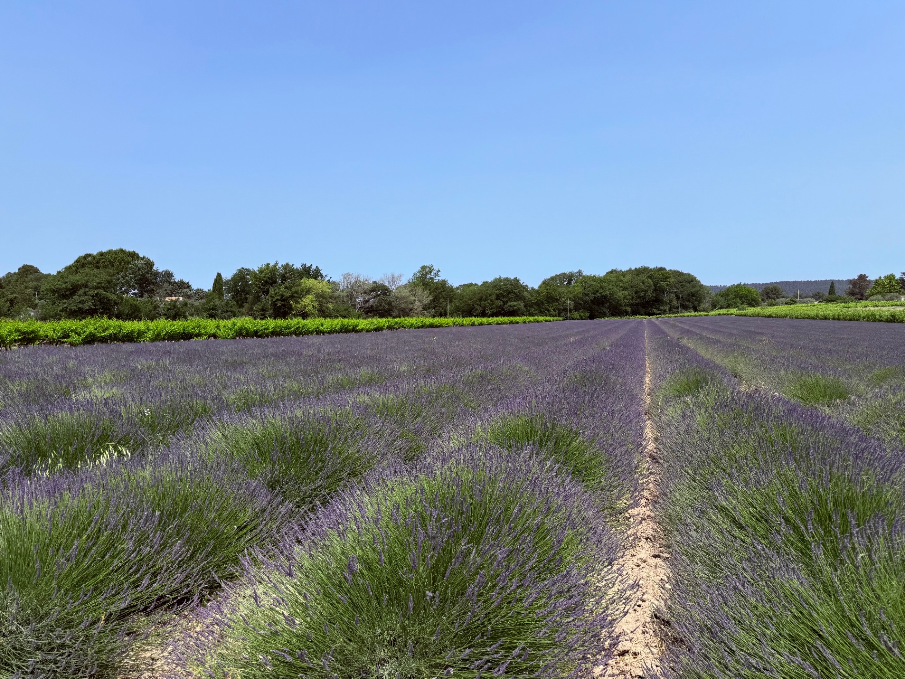France, AIX EN PROVENCE