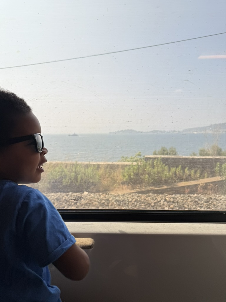 A young boy in sunglasses looking out a train window at the Mediterranean coastline.