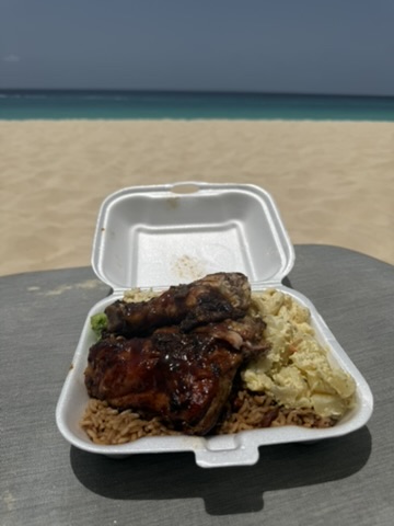 Takeout container of BBQ chicken, rice and potato salad with the sea behind
